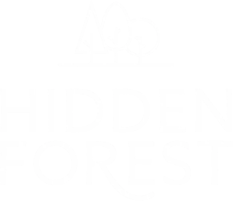 Hidden Forest